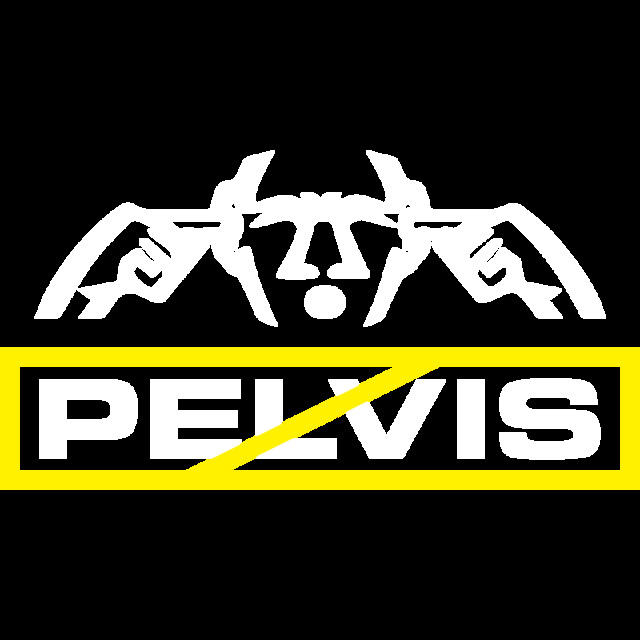 Pelvis