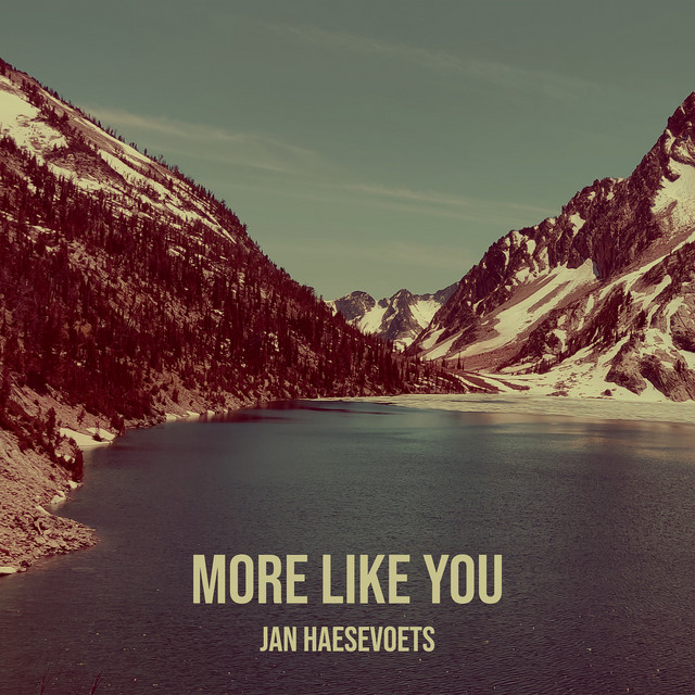 Jan Haesevoets