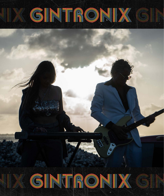 Gintronix