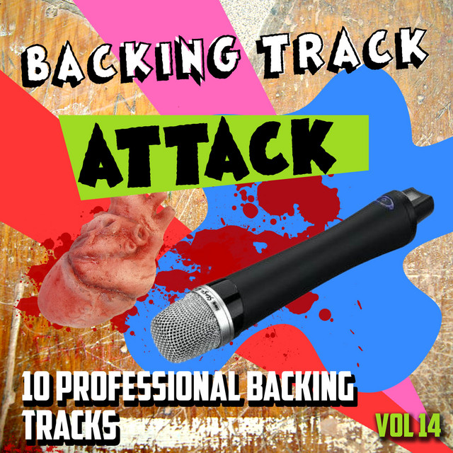 The Backing Track Professionals