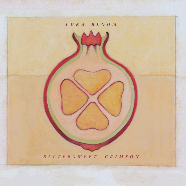 Luka Bloom - The Beauty Of Everyday Things