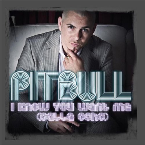 Pitbull & Ne-yo & Afrojack & Nayer - I Know You Want Me 