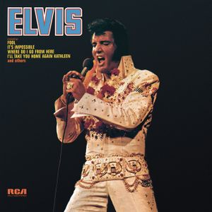 Elvis Presley - BURNING LOVE(LIVE)