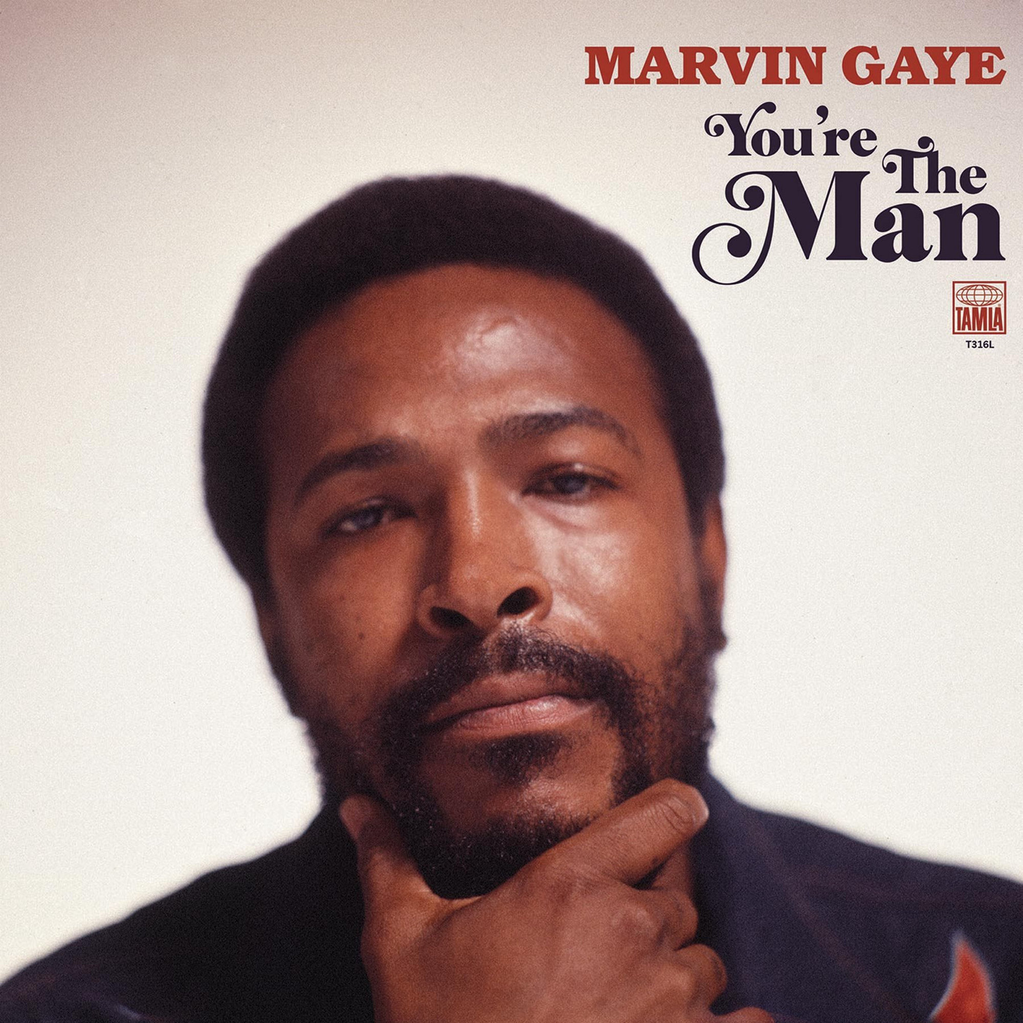 Marvin Gaye - Where Are We Going (Alternate Mix 2)