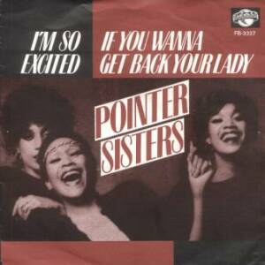 Pointer Sisters - I'm So Excited (long version)