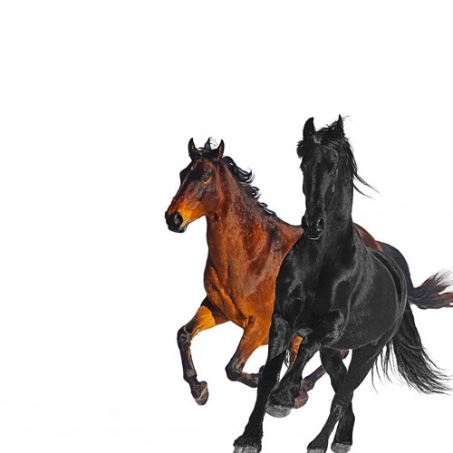 Old Town Road