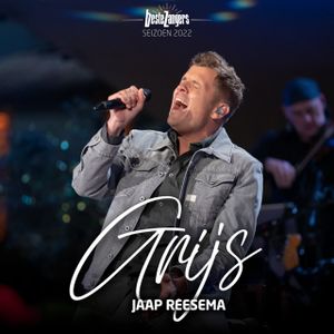 Jaap Reesema - Grijs