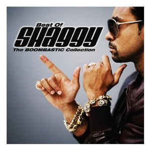 Shaggy - Strenght Of A Woman