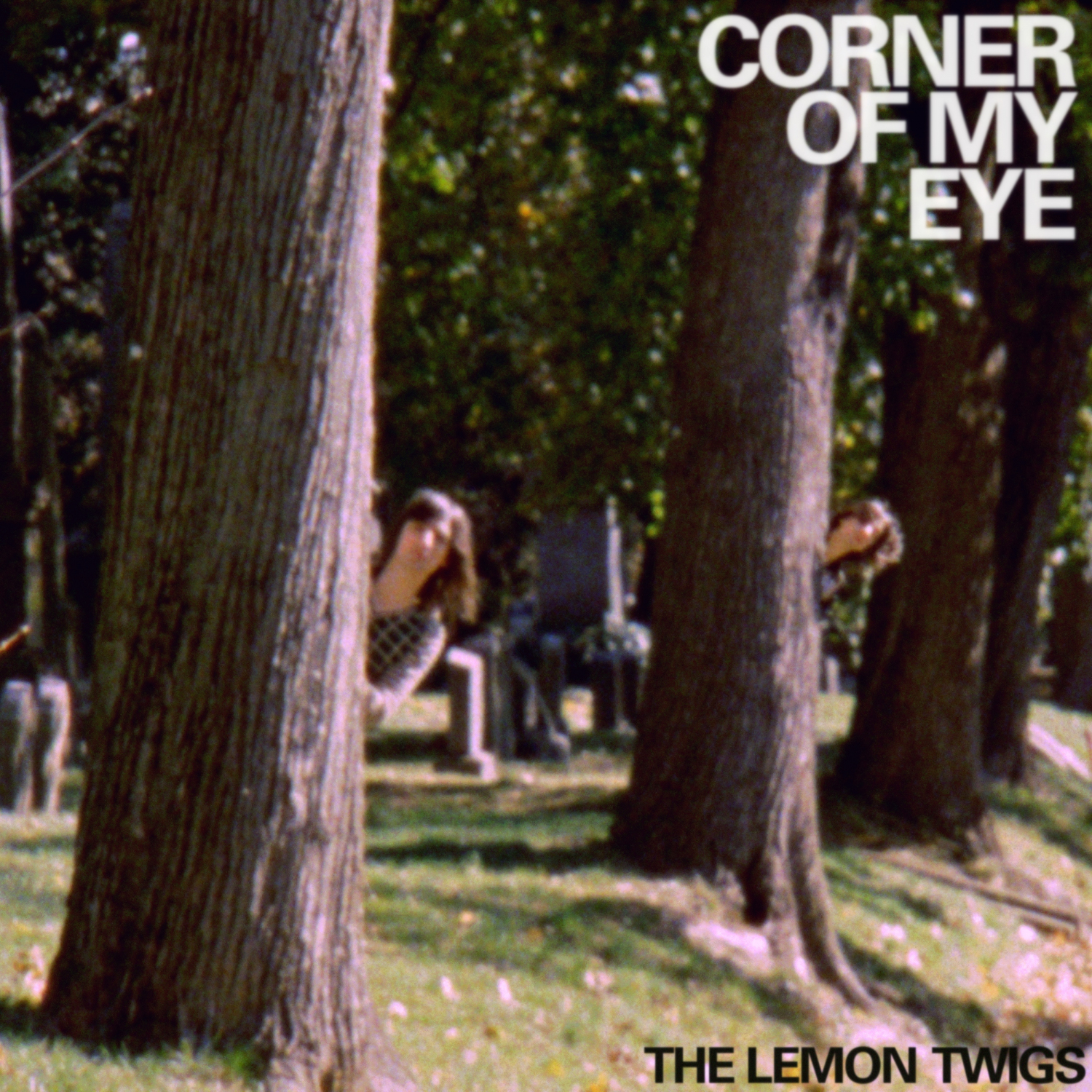The Lemon Twigs - Corner Of My Eye