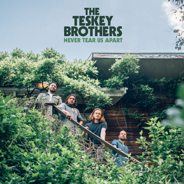 Teskey Brothers - Never tear us apart