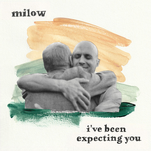 Milow - I've Been Expecting You