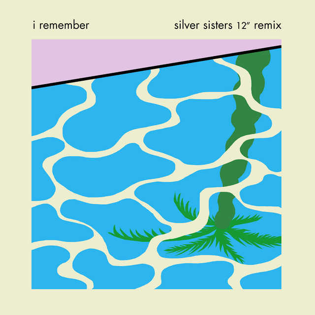 Compact Disk Dummies - I Remember (silver Sisters Remix)