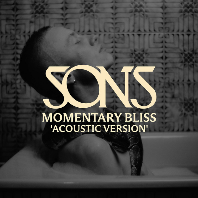 Sons - Momentary Bliss (acoustic Version)