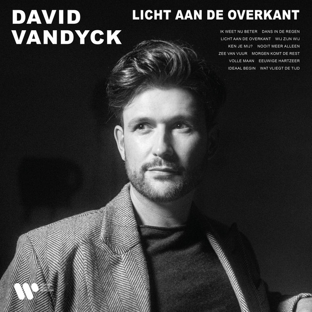 David Vandyck - Dans In De Regen