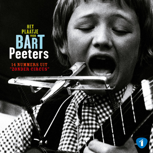 Bart Peeters - Poolijs