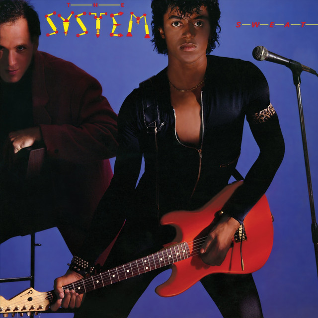 The System - You Are In My System