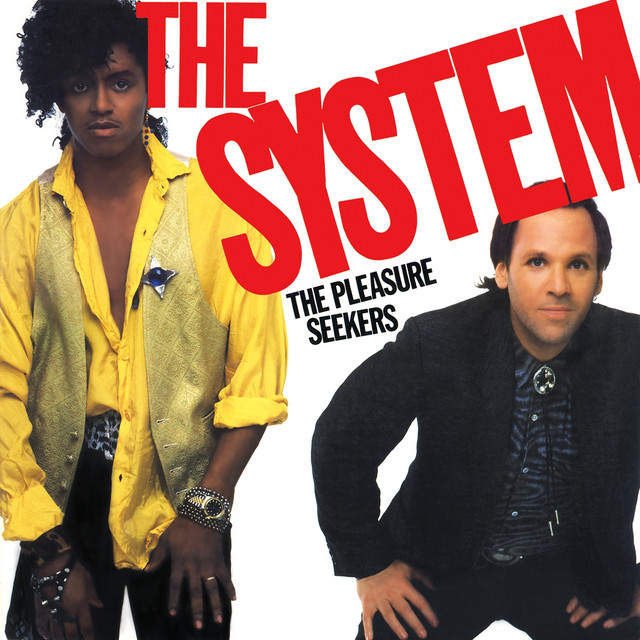 The System - This Is For You