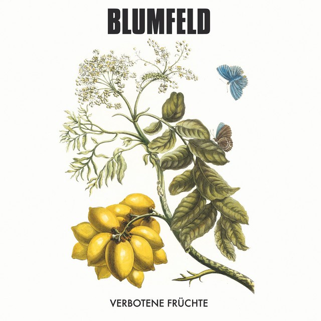 Blumfeld - Der Apfelmann