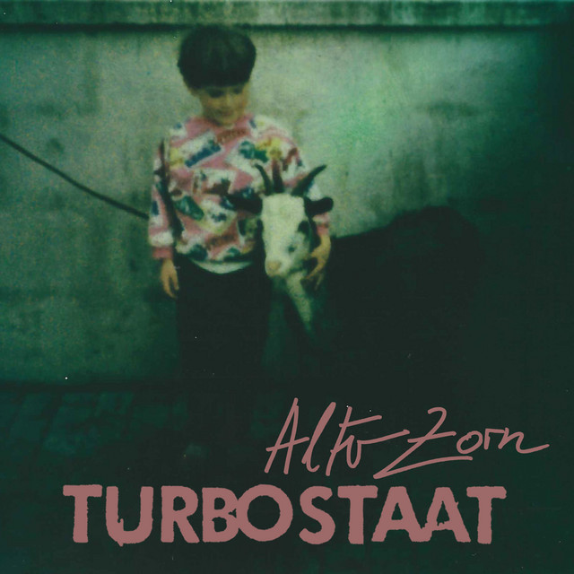 Turbostaat - Alter Zorn