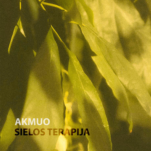 Akmuo - Terapija 3