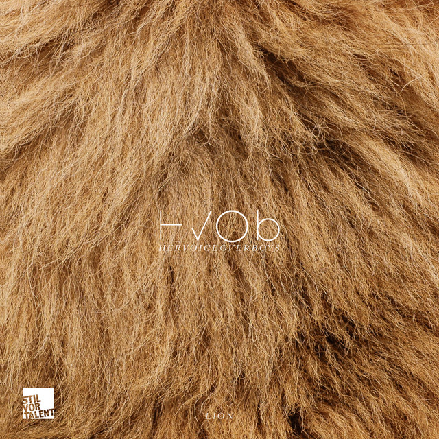 HVOB - Lion (Stimming Remix)