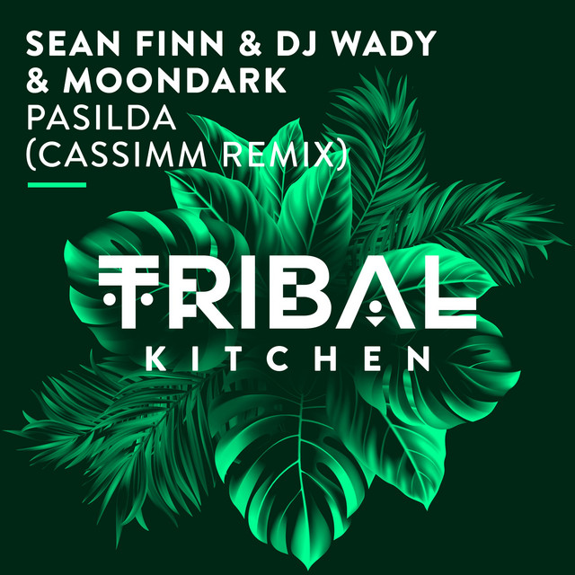 DJ Wady - Pasilda (CASSIMM Remix)