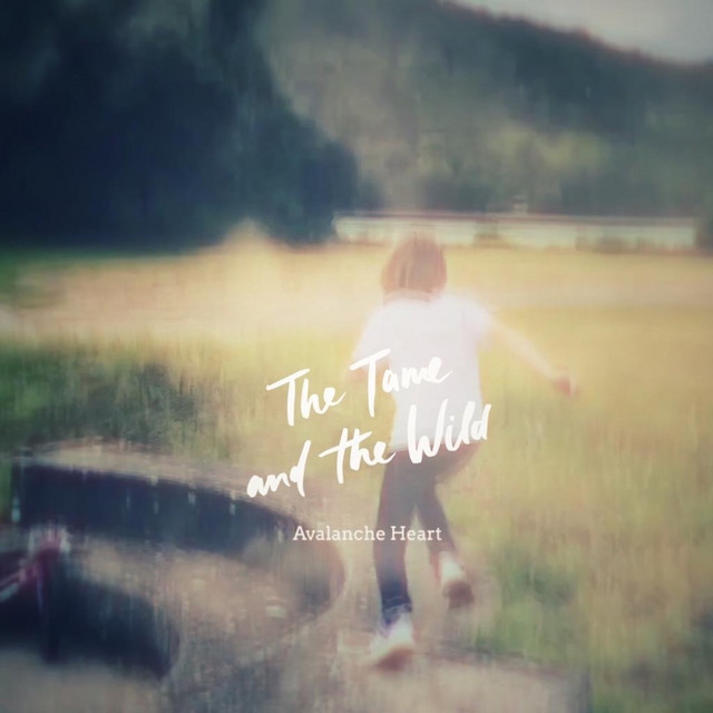 The Tame And The Wild - Avalanche Heart