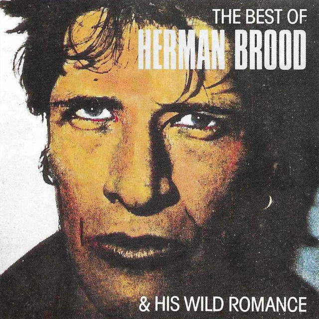 HERMAN BROOD - Saturday Night