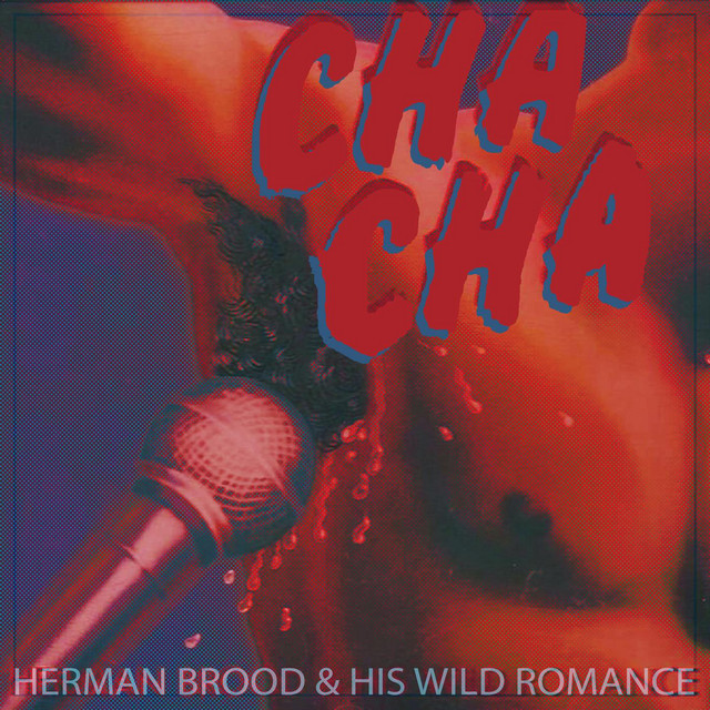 Herman Brood & His Wild Romance - Rock 'N' Roll Junkie