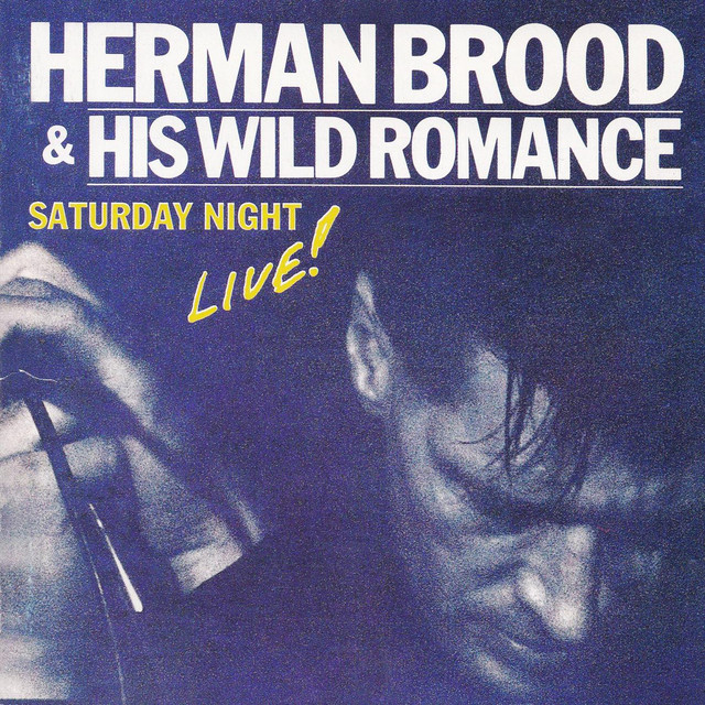 Herman Brood & His Wild Romance - Sleepin' Bird