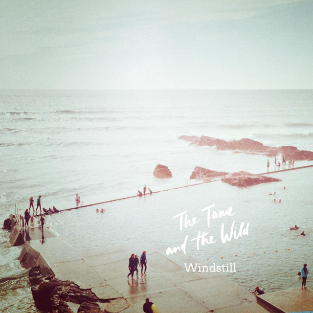 The Tame And The Wild - Windstill