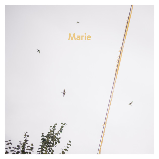 AnnenMayKantereit - Marie