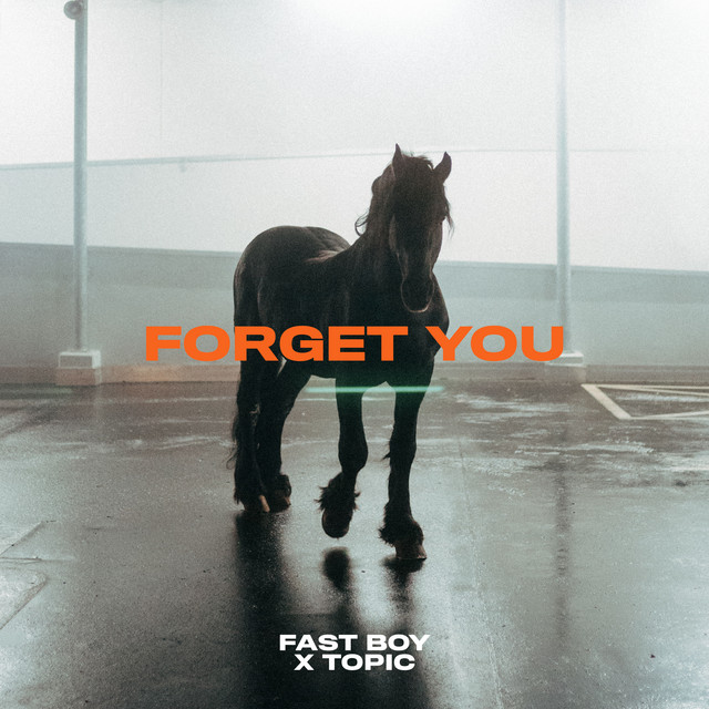 FAST BOY - FORGET YOU
