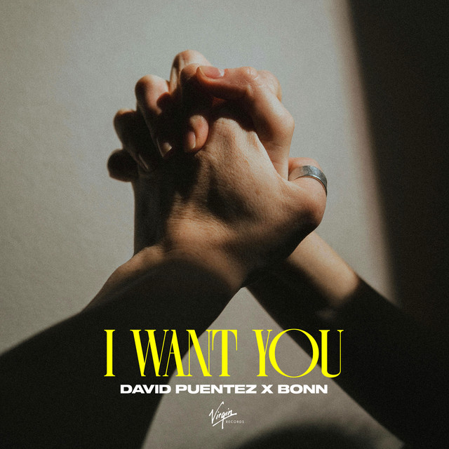 David Puentez - I Want You