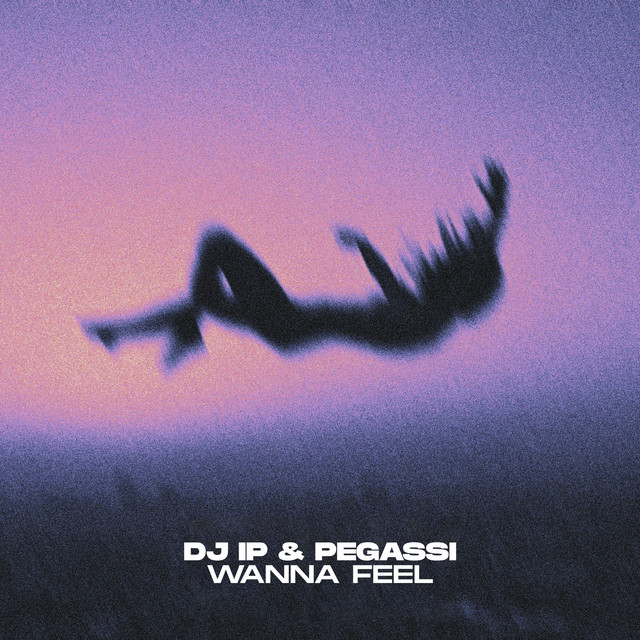 Dj Ip & Pegassi - Wanna Feel