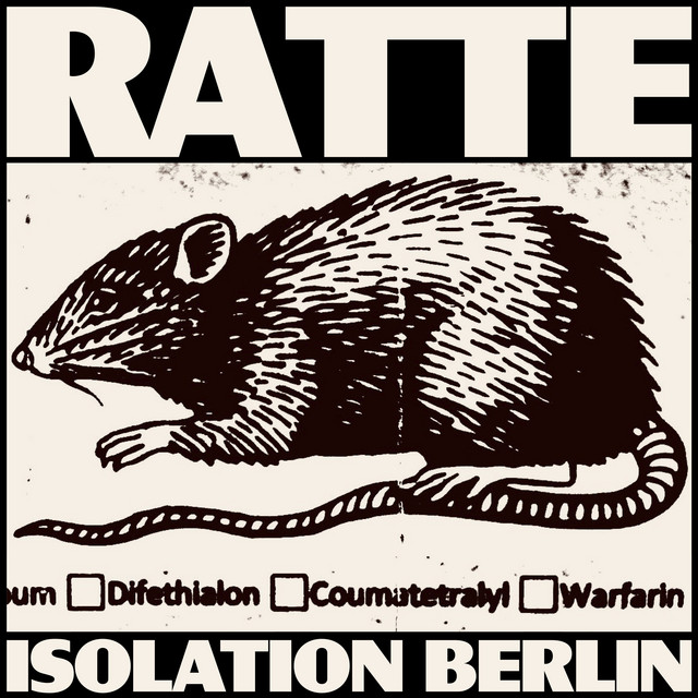 Isolation Berlin - Ratte