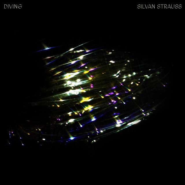 Silvan Strauss - DIVING