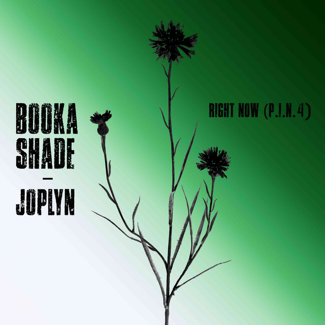 Booka Shade & Joplyn - Right Now (P.I.N.4)