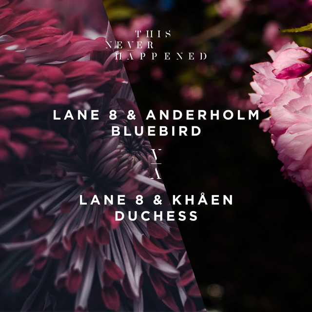 Lane 8 - Bluebird