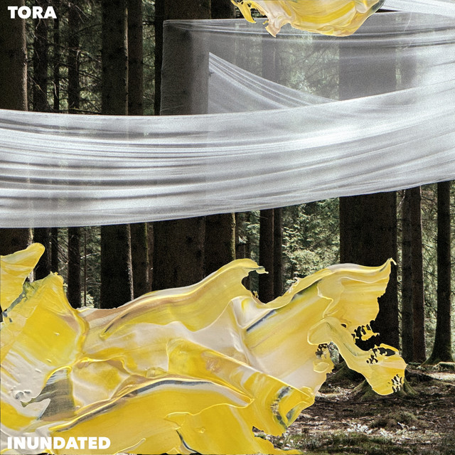 Tora - Why Won't You Wait