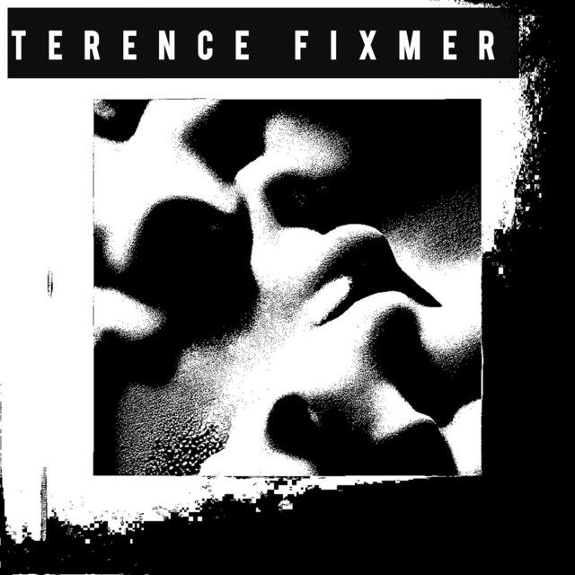 Terence Fixmer - Skin Against Skin