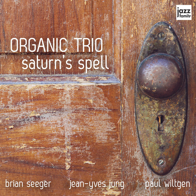 The Organic Trio - Quirky