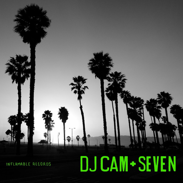 DJ Cam - Fontainebleau