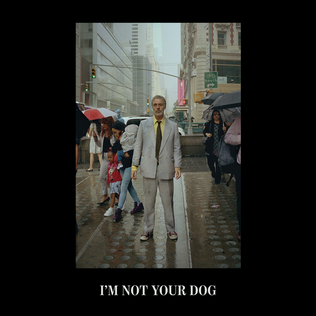 Baxter Dury - I'm Not Your Dog