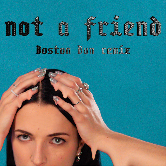 Boston Bun - Not a friend