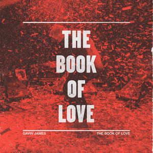 Gavin James - Book Of Love (Live At Whelans)