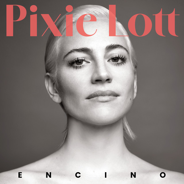 Pixie Lott - All We Have Is Now