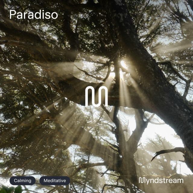 Spinvis - Paradijs (Edit)