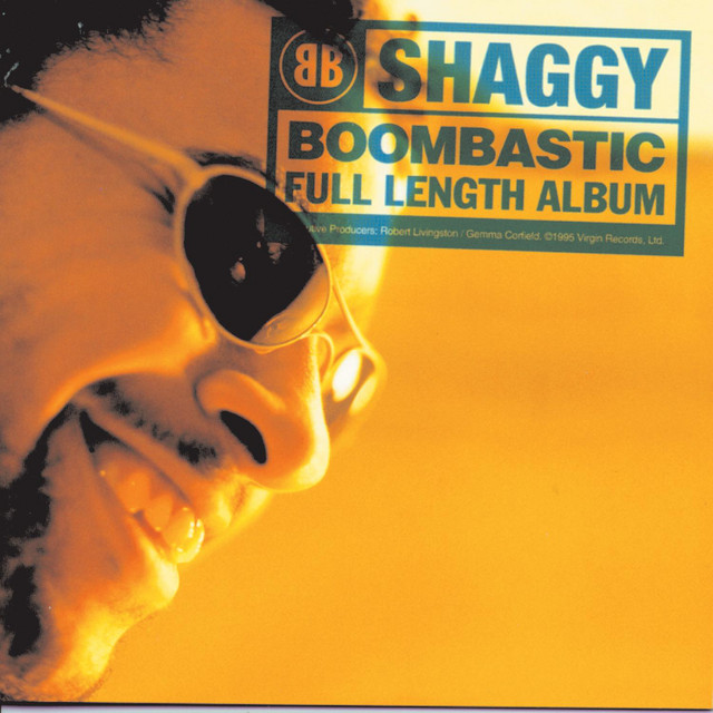 Shaggy - In The Summertime