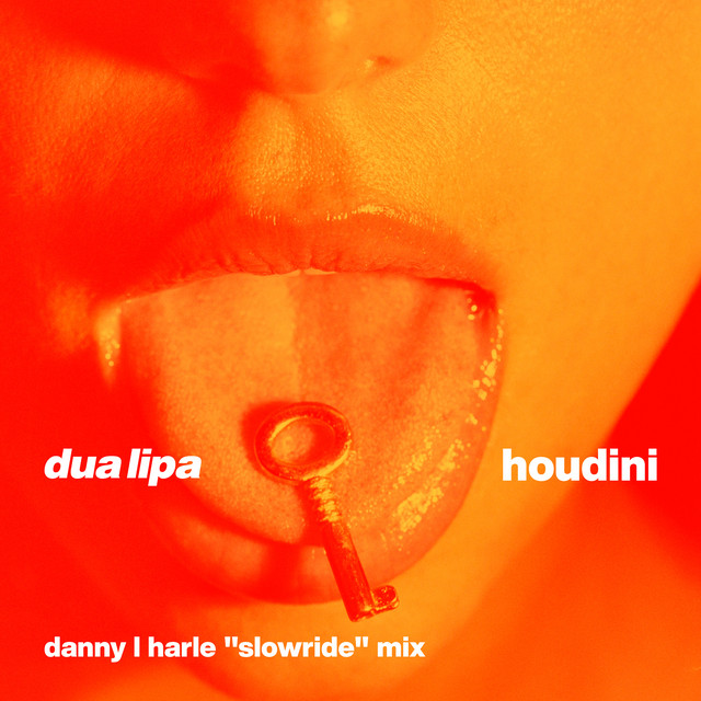 Dua Lipa - Houdini (Adam Port Mix)